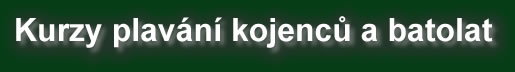 Kurzy plav�n�